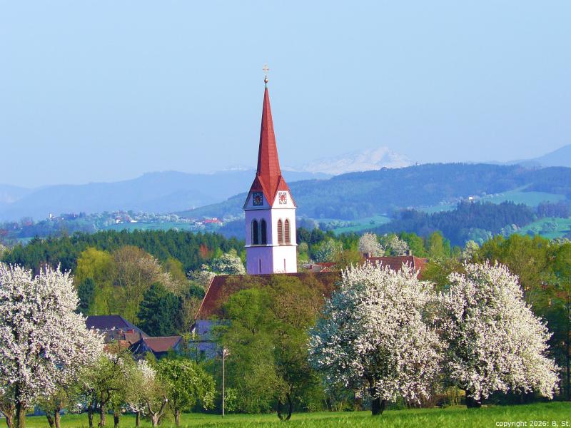 Blühendes Weistrach